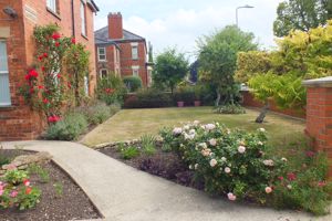 Front Garden- click for photo gallery